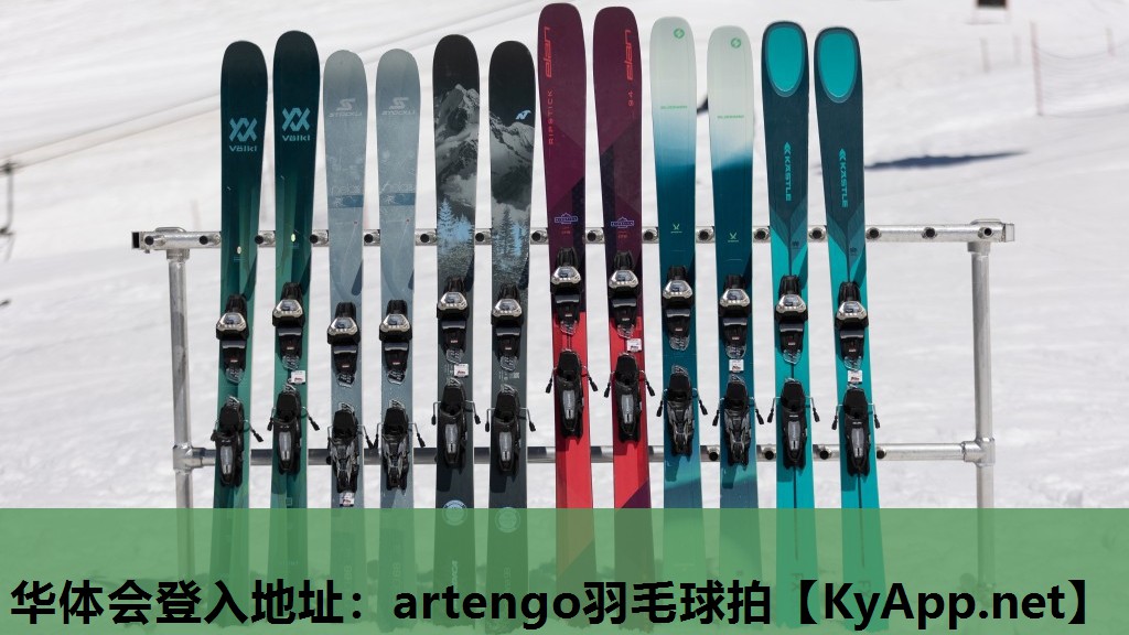 华体会登入地址：artengo羽毛球拍