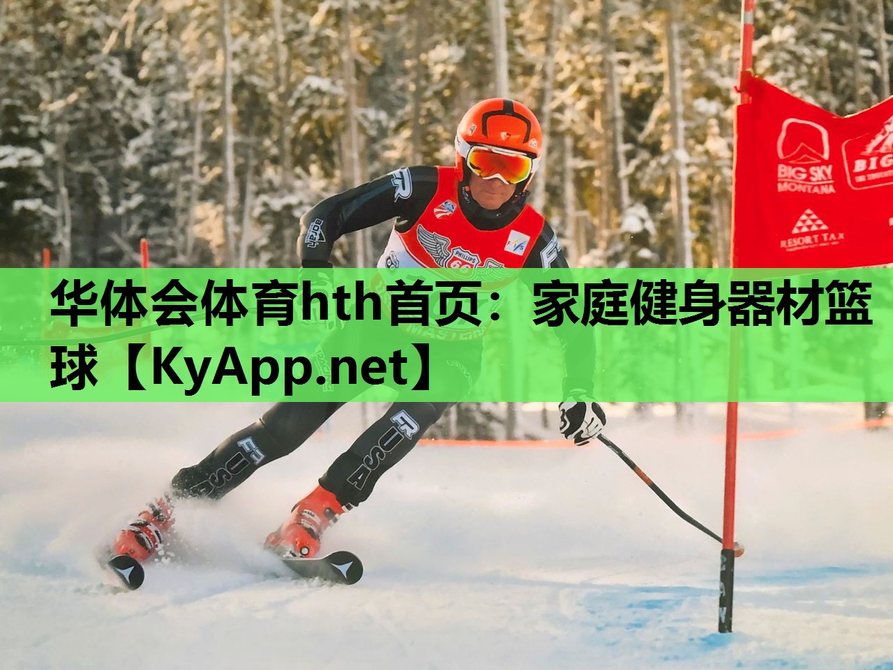 家庭健身器材篮球 家庭健身器材篮球