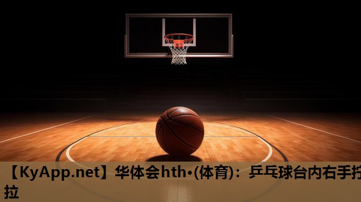 乒乓球台内右手拧拉