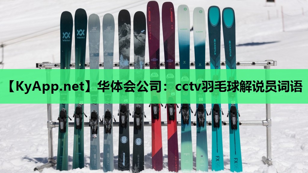 cctv羽毛球解说员词语